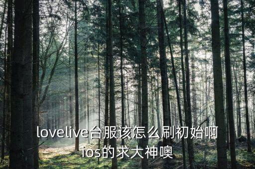 lovelive台服该怎么刷初始啊ios的求大神噢
