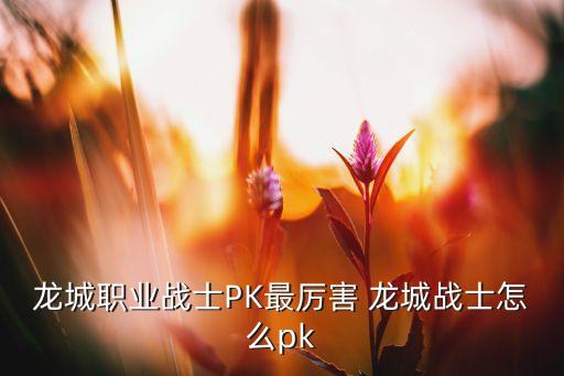 龙城职业战士PK最厉害 龙城战士怎么pk