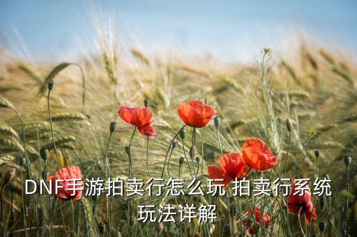 DNF手游拍卖行怎么玩 拍卖行系统玩法详解