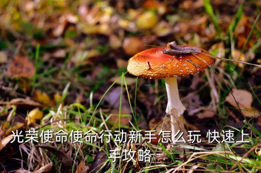 光荣使命使命行动新手怎么玩 快速上手攻略