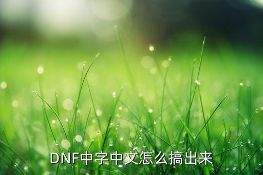 DNF中字中文怎么搞出来