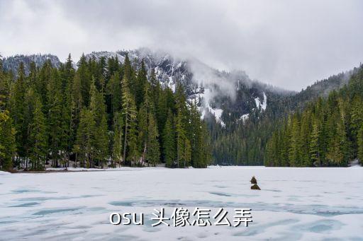 手游萨勒芬妮头像怎么弄，怎样弄游戏头像