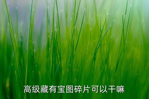 高级藏有宝图碎片可以干嘛