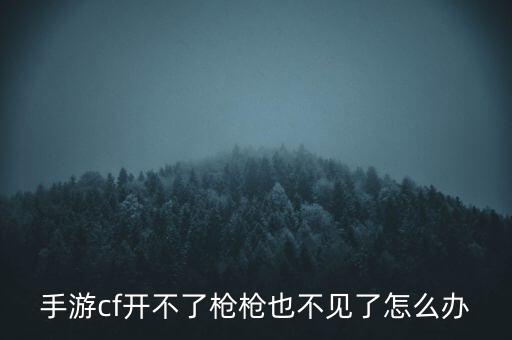 手游cf开不了枪枪也不见了怎么办