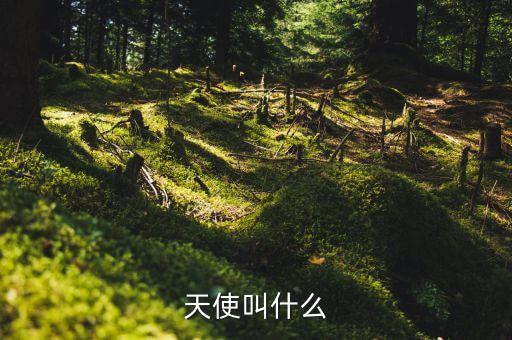 拉结尔手游炼金石怎么用，宝宝一百天了手脚印祝福藏头诗黄厚斌