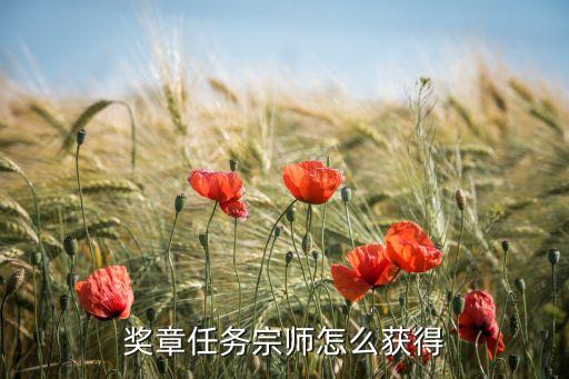 奖章任务宗师怎么获得