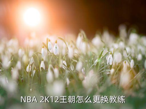 NBA 2K12王朝怎么更换教练