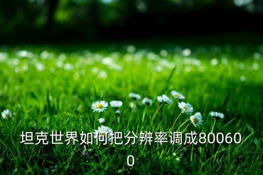 坦克世界如何把分辨率调成800600