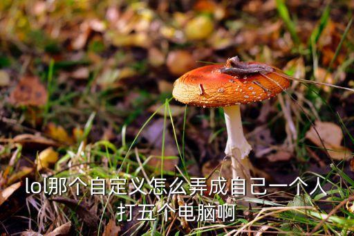 lol那个自定义怎么弄成自己一个人打五个电脑啊