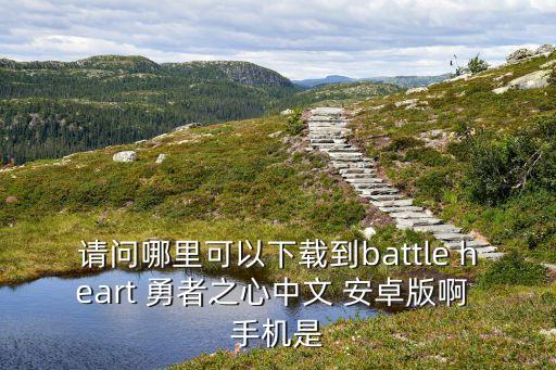 请问哪里可以下载到battle heart 勇者之心中文 安卓版啊 手机是