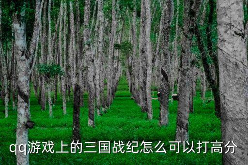 qq游戏上的三国战纪怎么可以打高分