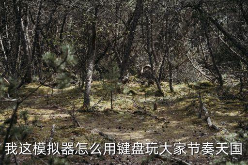 问道手游雷电模拟器键盘怎么设置，我这模拟器怎么用键盘玩大家节奏天国