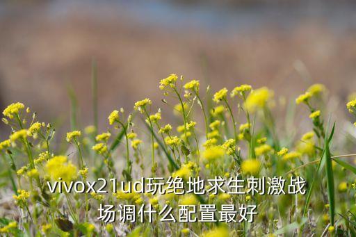 刺激战场手游配置怎么选，手机流畅运行绝地求生刺激战场需要什么配置发一下参数