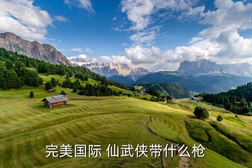 完美国际 仙武侠带什么枪