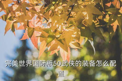 完美世界国际版50武侠的装备怎么配置