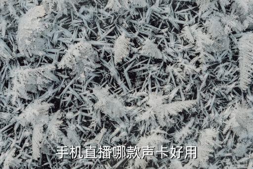 手机直播哪款声卡好用