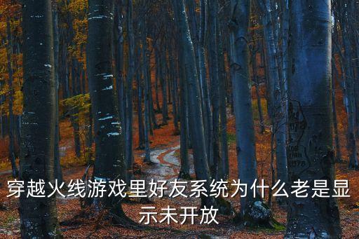 穿越火线游戏里好友系统为什么老是显示未开放