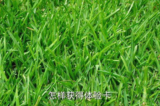 英雄联盟手游怎么申请体验卡，体验卡如何获得