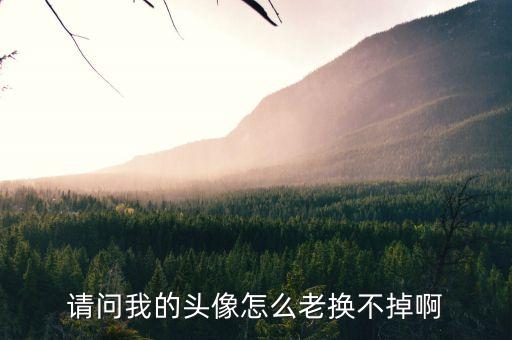 cf手游头像怎么换不掉，请问我的头像怎么老换不掉啊