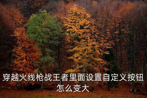 穿越火线手游怎么改成自定义，cf自定义怎么弄
