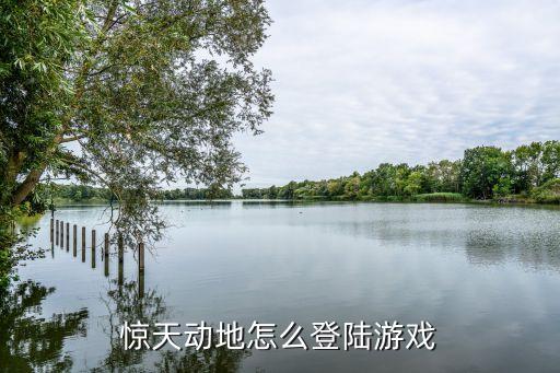 惊天动地怎么登陆游戏