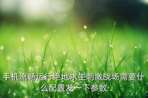 手机流畅运行绝地求生刺激战场需要什么配置发一下参数