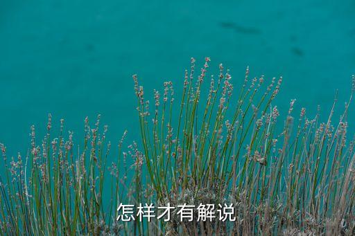 怎样才有解说