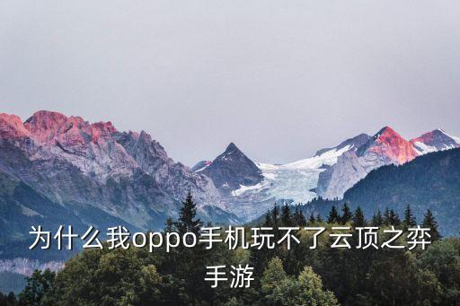 为什么我oppo手机玩不了云顶之弈手游