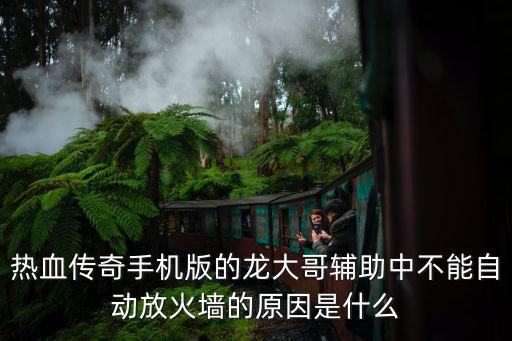 热血传奇手机版的龙大哥辅助中不能自动放火墙的原因是什么