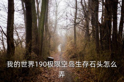 我的世界190极限空岛生存石头怎么弄