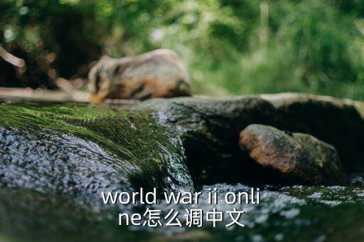 world war ii online怎么调中文
